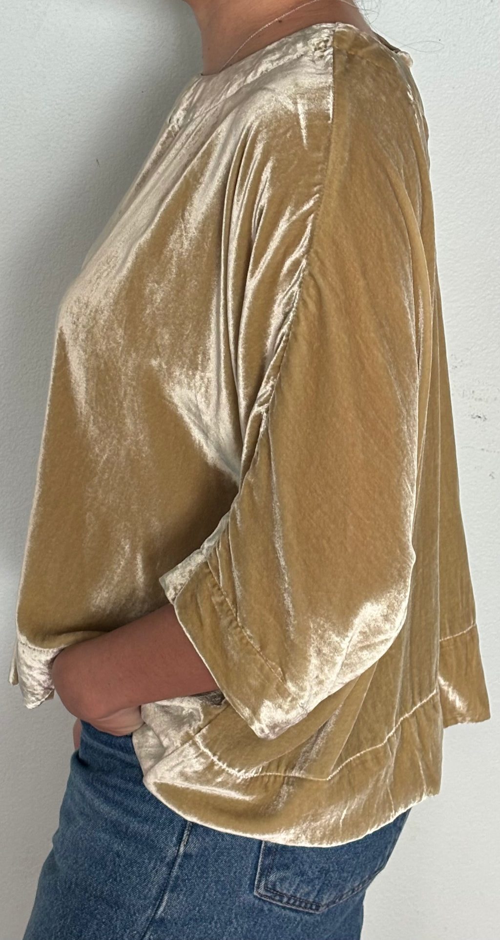 Silk Velvet T-Shirt